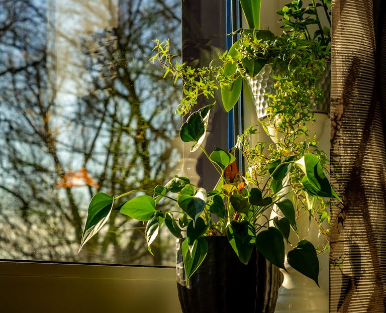 Botanische woonstijl